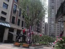 精装花园洋房,低密住区,藏着生活的松弛感,点进来看