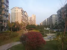 建平秀沈、万科物业、绿植丰富、 楼层好 房东已买好诚意出售