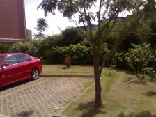 新逸仙公寓2室北朝向460.00万元/套出售