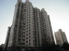 绿色丽园 1室1厅 南