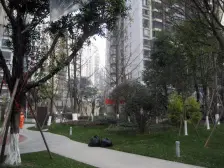 卓锦城六期 3室1厅 东南