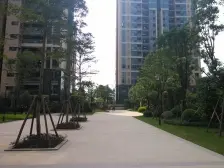 阳光城新界 1室1厅 北