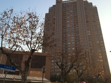 绿洲雅宾利花园一期1室南朝向828.00万元/套出售