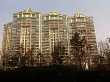 电梯房,大开间,品质小区,精装修,诚意出售