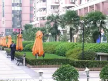 鹿特丹花园 2室2厅 南 北