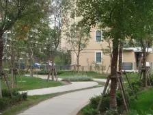 近地铁 随时看房,采光好,电梯房,业主诚意。只要看中房子价格您来出,房东非常诚意,全天恭候。