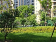 近地铁,精装 随时看房,产权清晰,热销好房