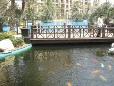 二期下跃复式带室内电梯 4.2米层高 百米栋距 采光佳