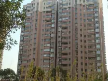 新凤城1室1厅南