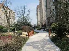 刚需的都进来看看也适合yang老环境好