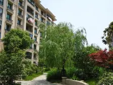 标准一房 采光好 简装可拎包入住