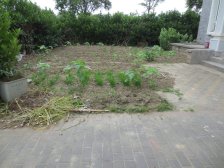 欣绿名苑 5室3厅3卫 南