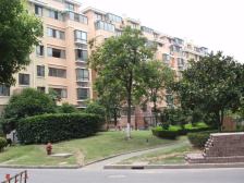 现场实勘,产权清晰 拎包入住,必看好房