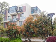 满五年低总价保养好中间楼层 明珠可用 可小刀