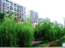 小区C卫,中区楼层,保养新,有钥匙随时看房