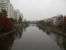 明珠大三房 三开间朝南 中间楼层 采光好