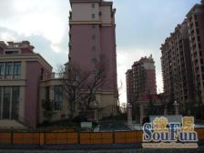 保利金爵公寓 1室1厅 南 北