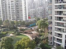 电梯房,大开间,品质小区,精装修,诚意出售