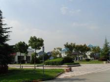 房子是独栋别墅花园洋房,整体比较好一些